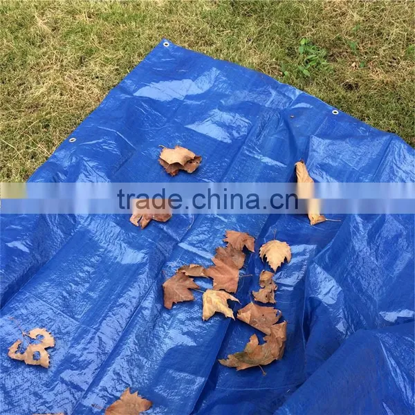 Blue/silver Mesh Tarp photo-6
