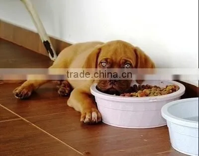 Machines to Make Bird Food photo-2