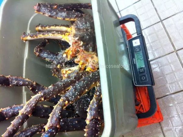 Norwegian Red King Crab, King Crab Legs With Clusters,Live Red King Crab Mud Crab, Live Dungeness Crab photo-5