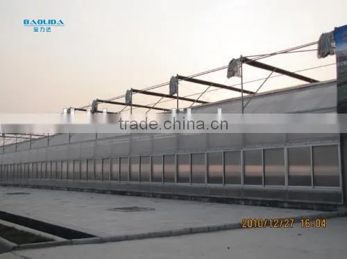Commercial PC Sheet Greenhouse For Sale/Used For Vegetable&Fruit photo-3