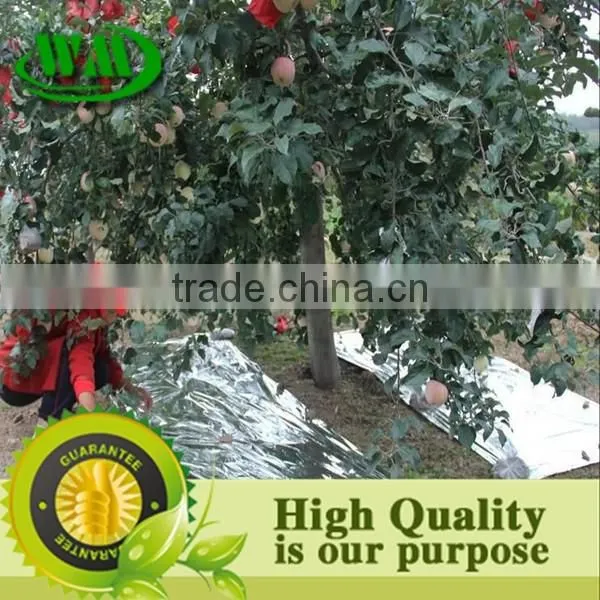 High Quality Silver Reflective Ground Cover Mat photo-2