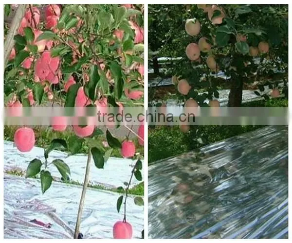 High Quality Silver Reflective Ground Cover Mat photo-5