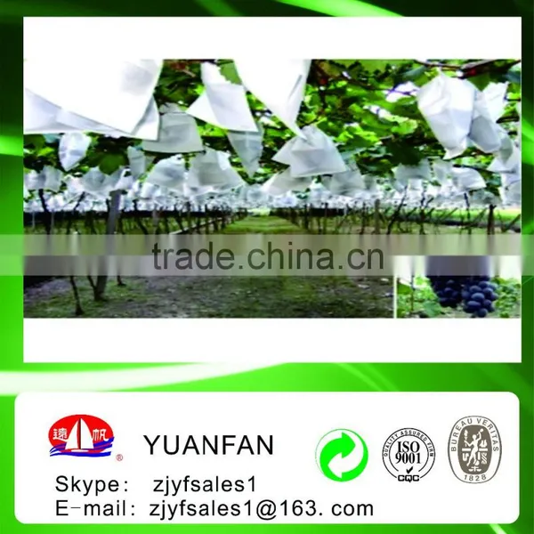 The Biggest Spunbond Nonwoven Manufacturer in China photo-3