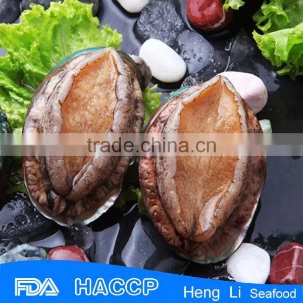 Frozen Abalones Meat 100% Natural photo-3
