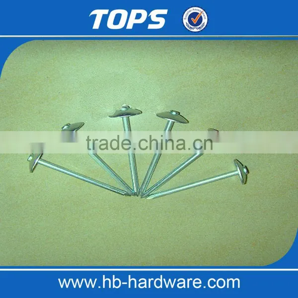 Smooth Shank Galvanized Roofing Nails/gal Roofing Nails photo-6