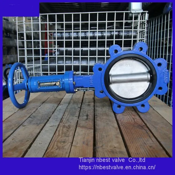 Vertical Wheel DIN Standard PN16 Vertical Gear Lug Butterlfy Valve DN150 photo-4