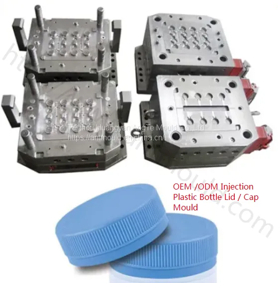 Water Medical Oil Cosmetic Plastic PE Injection Bottle Cap Mould Plastic Mineral Water Cap Mould photo-5