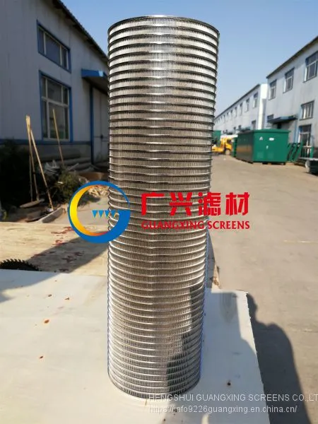 Screw Press Screen Self Cleaning Filter photo-3
