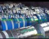 500mm PPGI Steel Strips/coils Ues for Shutter Doors