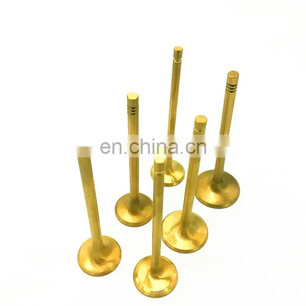 Genuine Race Engine Parts For BMW F10 S63B44 4.4L X5M X6M M5 M6 S63 S63TU Cylinder Head Intake Exhaust Valves Spring 11347572451 photo-4