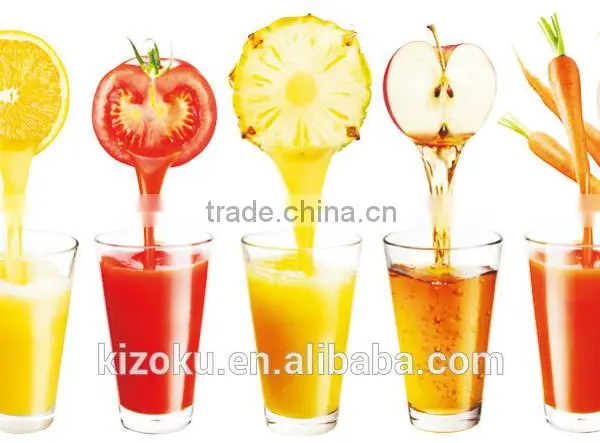 2016 Home Appliances Whole Slow Juicer Cold Press Juicer&SP-DJN-001 Slow Juicer photo-2