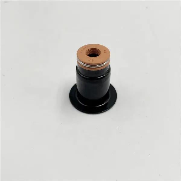 Factory Wholesale High Quality Valve Stem Seal For SHACMAN photo-4