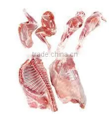 Frozen Lamb and Mutton Meat photo-2