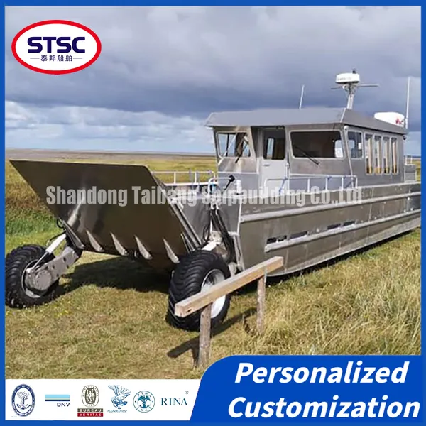Cost-Effective China-Made Cargo Ships for Sustainable Global Trade Operations