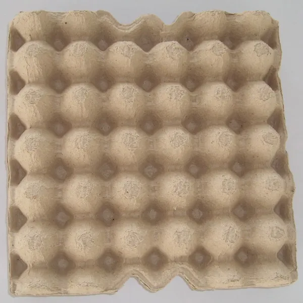 Molded Pulp Egg Tray for Poultry Farm 30 Cells Per Tray Biodegradable photo-4