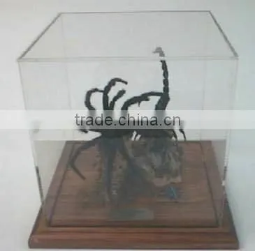 GH-RZ440 Made In China High Quality Customized Clear Transparent Acrylic Cover photo-2