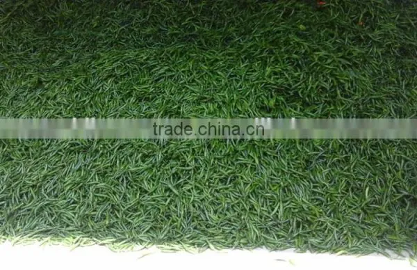 Fresh Green Chilli