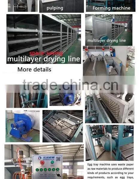 2000pcs/h Waste Paper Egg Tray Making Machine Manufacturer,egg Box for Sale photo-4
