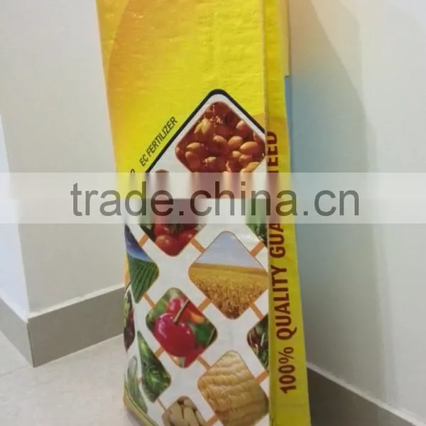 Product Packaging Design BOPP Printing Laminated Polypropylene Woven Bags for Sale photo-2