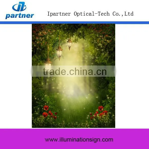 Promotional Decoration Led Canvas Printings For Home