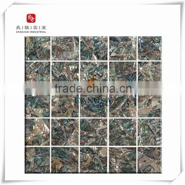Paua Mother of Pearl Mosaic Tiles photo-6