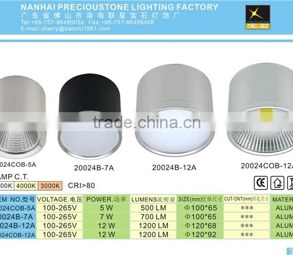 Home Surface Mounted Led The Lamp Glass Ceiling Light Cover photo-5
