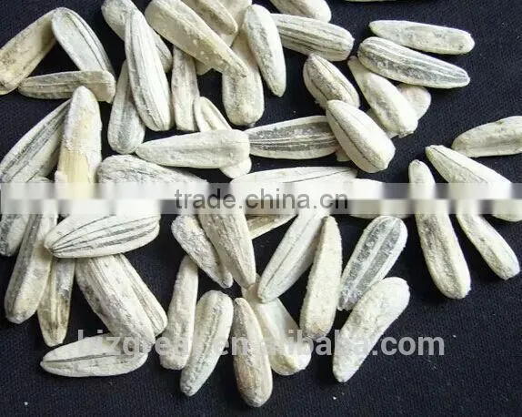 Supply Chinese Roasted Salted White Sunflower Seeds With Good Quality For Sales photo-5