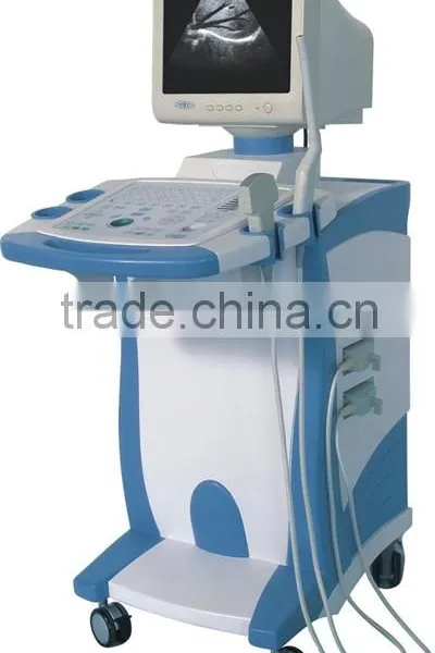 ultrasound scanner visualization
