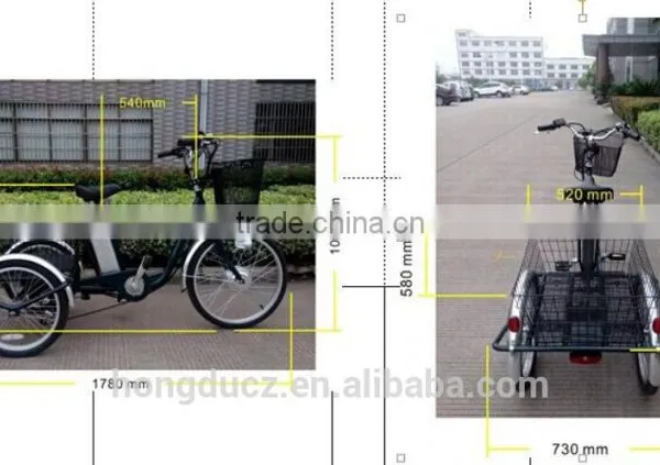 Three Wheel Electric Cargo Motor Bike Made in China photo-6