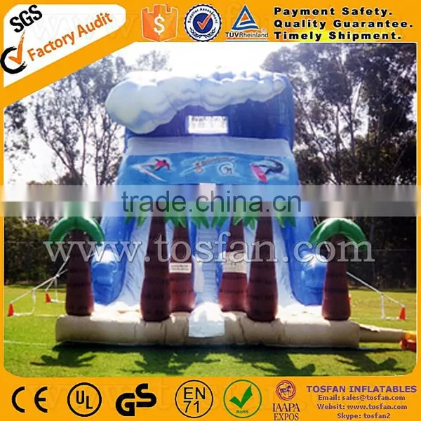 Comfortable Inflatable Water Slide for Fun A4013 photo-6