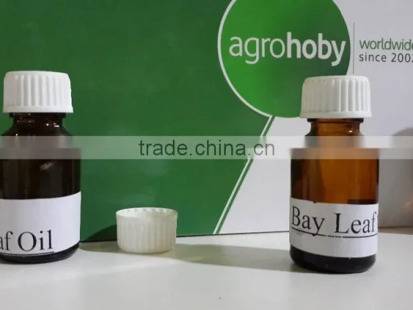 Laurel Bay Leaf Essential Oils , Laurel Oil photo-4