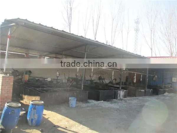 Waste Oil Factory Audit in China photo-2