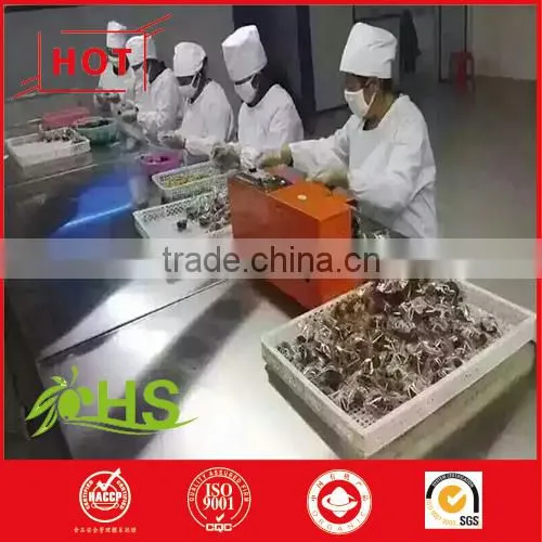 High Quality Chinese Jujube Fruit Shanxi Special Grade Dried Red Dates With Walnut Meat photo-5