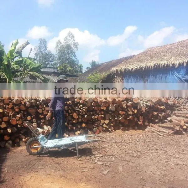 Hardwood Charcoal From Viet Nam photo-5