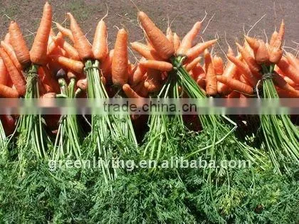 AD Carrot/ Dehydrated Vegetable