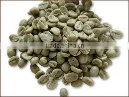 ARABICA GREEN COFFEE BEANS