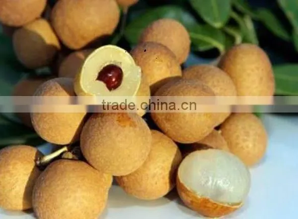 Vietnam Dried Longan photo-5