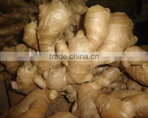 Fresh Air Dried Ginger photo-5