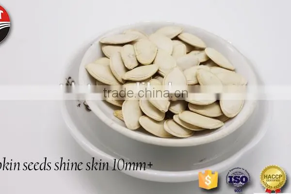 Shine-skin Pumpkin Seeds 9-11mm