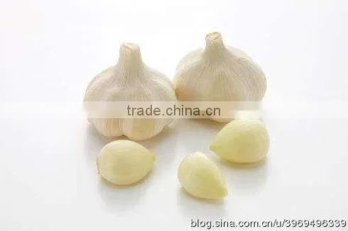 FX-128-2 Hot Sale Large Capacity Garlic Peeling Peeler Machine photo-6