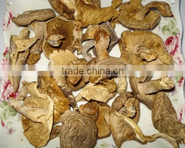 Detan Mushroom Dried Oyster Mushrooms photo-2