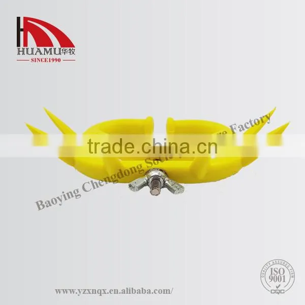 Yellow Calf Weaner 120*85 mm photo-2