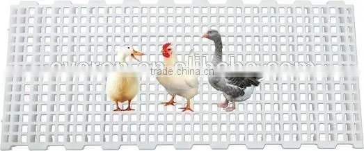 High Quality Slat Floor for Poultry Farm photo-5