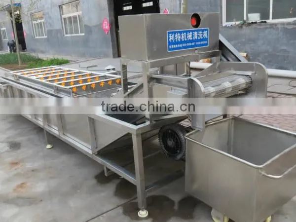 Hot Sale Vegetable Bubble Washing Machine/bean Sprout Washer Machine/bean Washing Machine photo-4