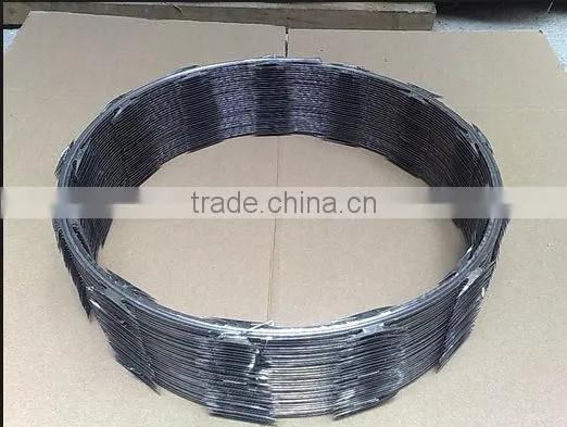 (high Quality)Galvinized Razor Barbed Wire(factory) photo-5
