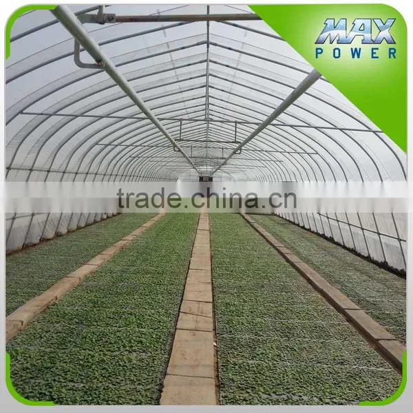 Garden Tunnel Greenhouse for Sale photo-3
