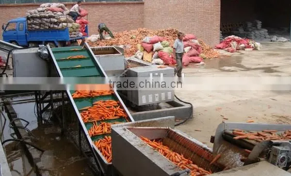 Carrot Washing Peeling Prodcution Line Processing Line photo-2
