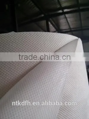 Airlaid Paper Laminated PE Film/ photo-2