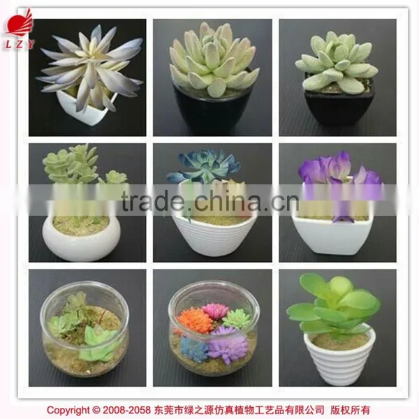 Nice Cheap Artificial Mini Succulent Plants Artificial Plants High Quality Fake Succulent Plants photo-4