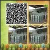 High Quality Propylene Glycol,PG,mono Propylene Glycol
